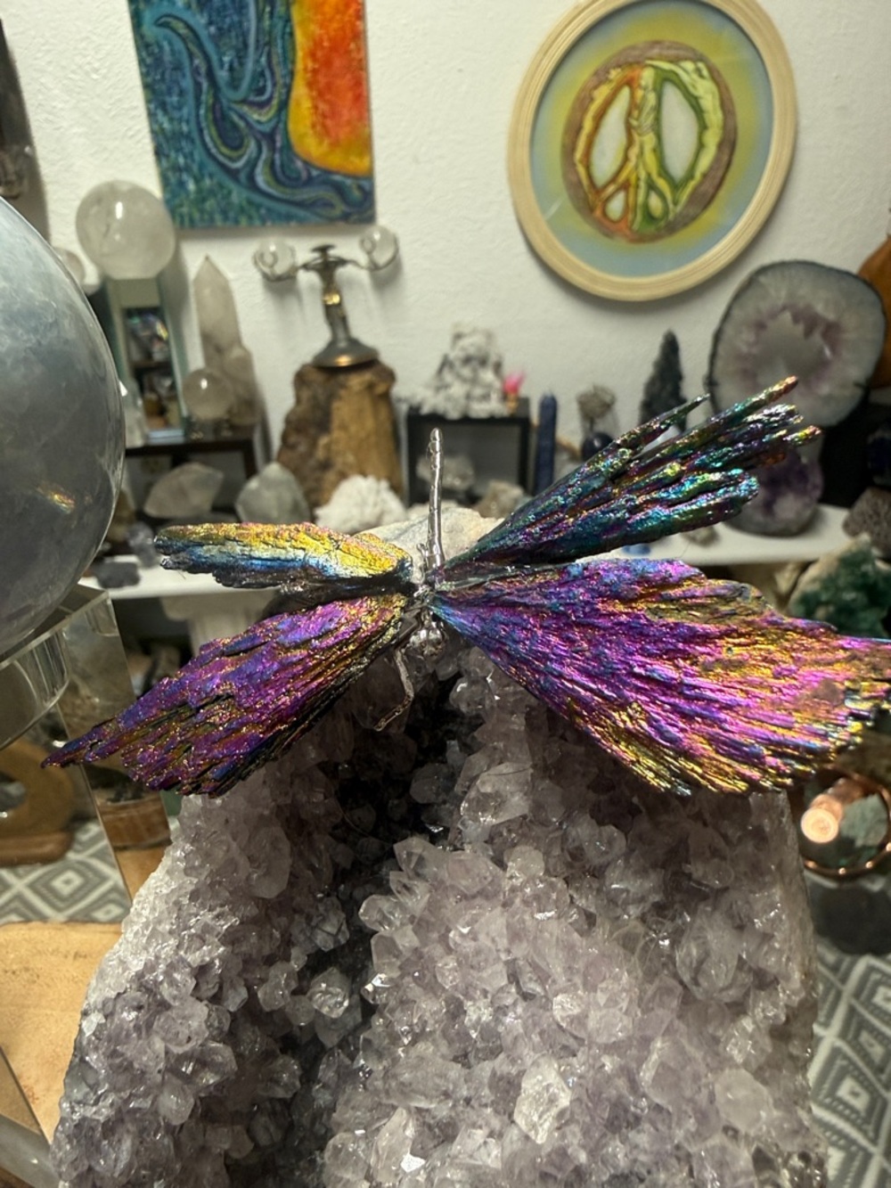 Titanium Aura Black Kyanite dragonfly
